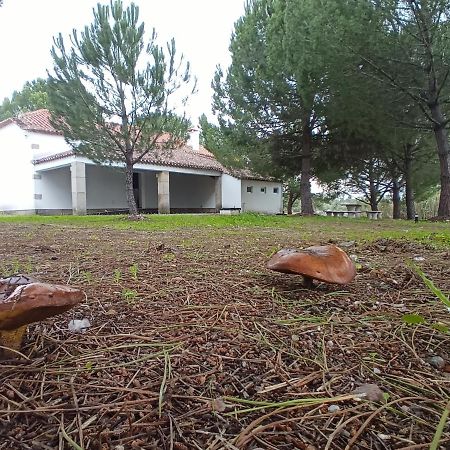 Casa De Perais Βίλα Εξωτερικό φωτογραφία